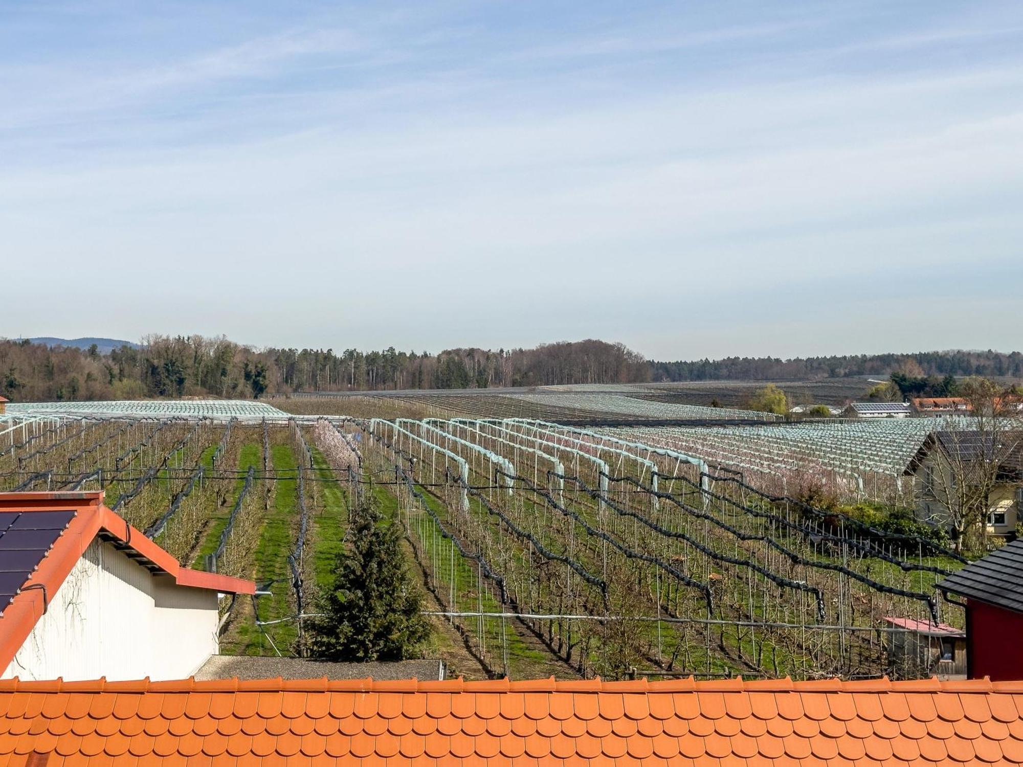 Obst-und Ferienhof Ragg Immenstaad am Bodensee Exterior foto
